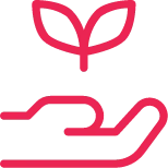 cms-development